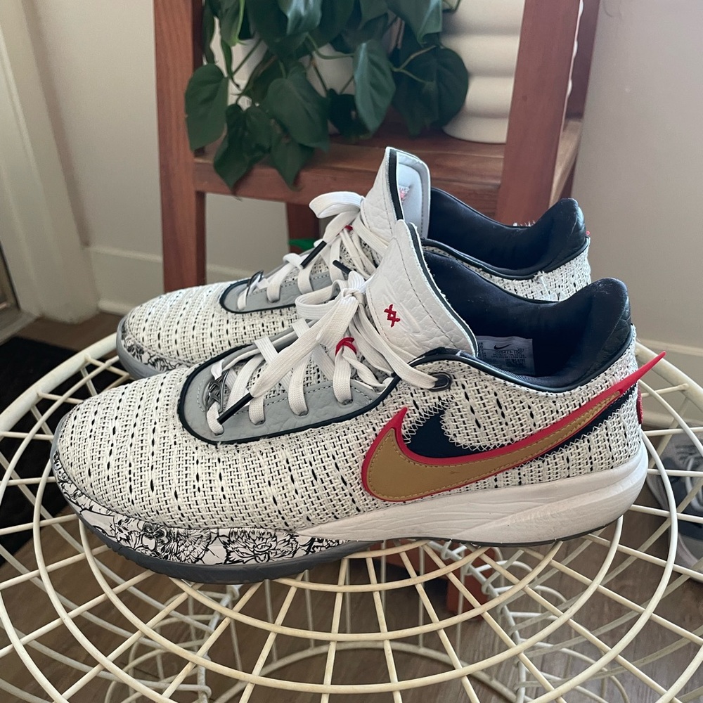 Lebron XX